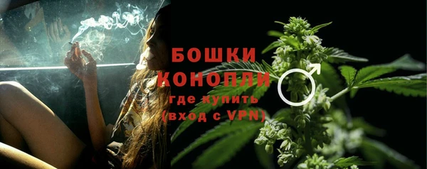 дурь Няндома