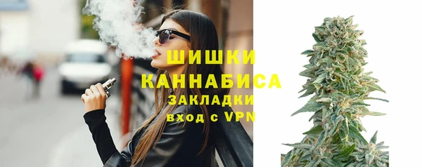 дурь Няндома