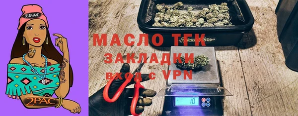 дурь Няндома