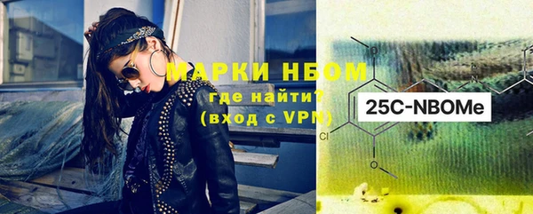 дурь Няндома