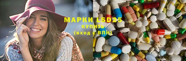 дурь Няндома