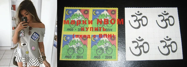 дурь Няндома