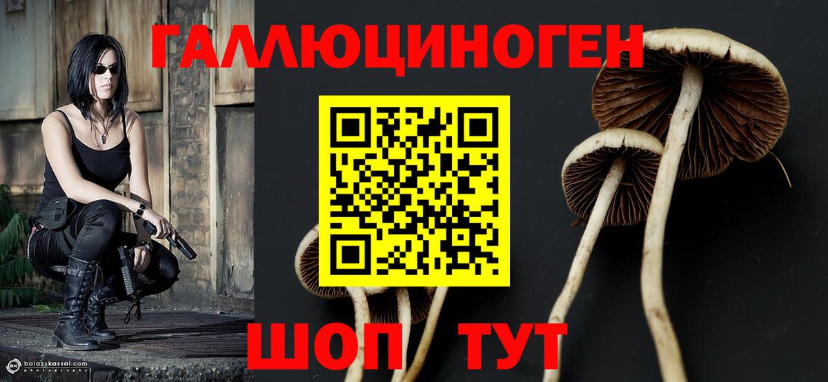 Кстово  Галлюциногенные грибы ЛСД  Вход с VPN 